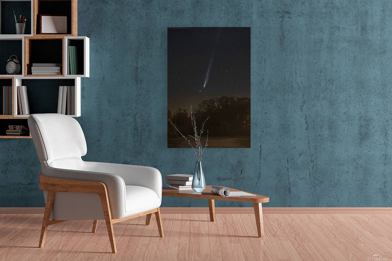 Comet Lemmon from Cobble Beach Reproduction