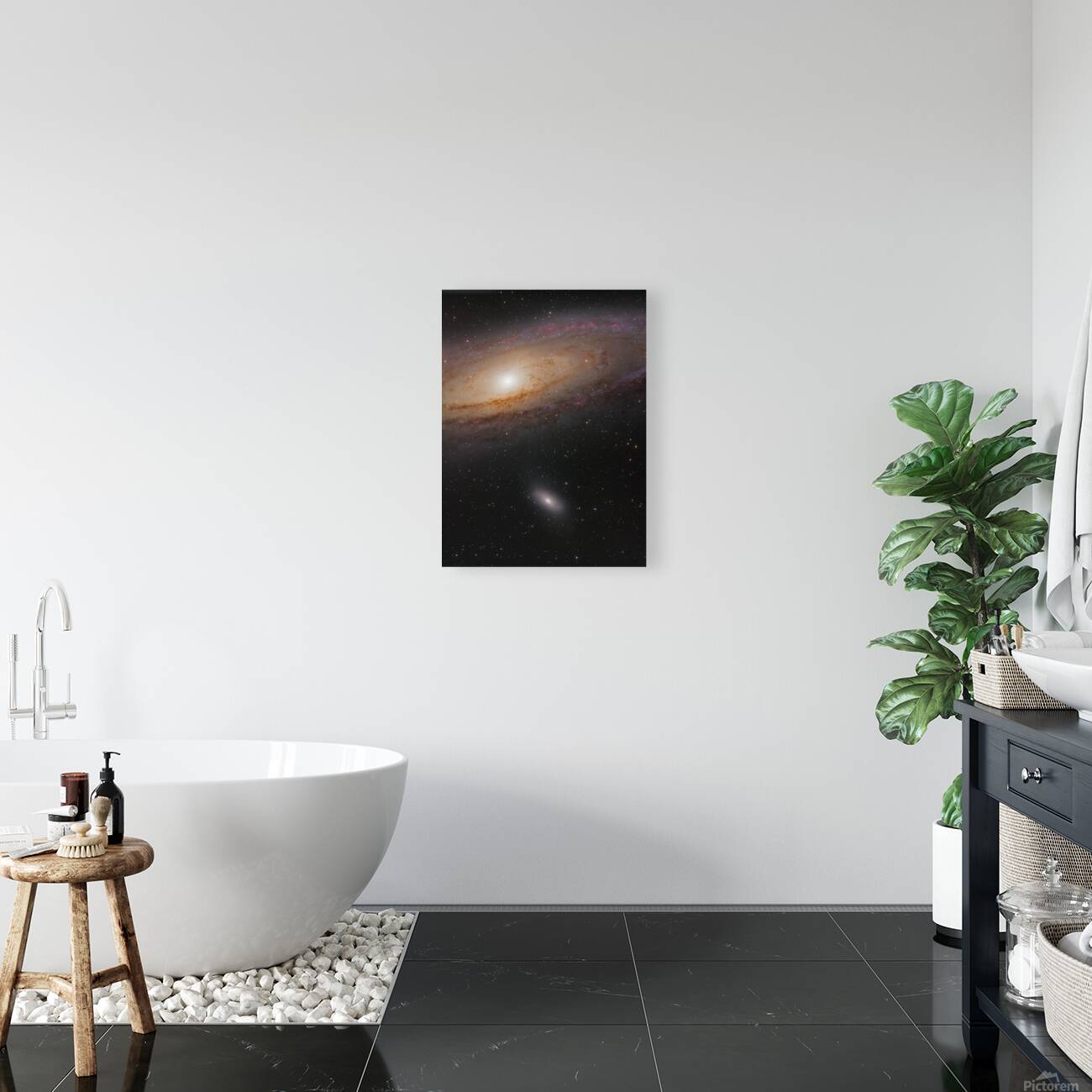 David and Goliath — M110 and the Andromeda Galaxy Reproduction