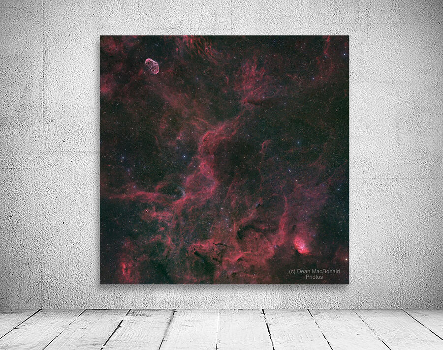 Crescent Nebula Wolf-Rayet 134 & Tulip Nebula - NGC 6888 - WR 134 - Sh2-101 Wall Preview