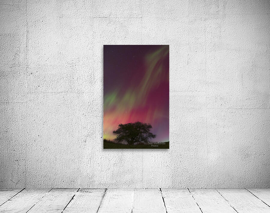 Kemble Tree Aurora Vertorama Wall Preview