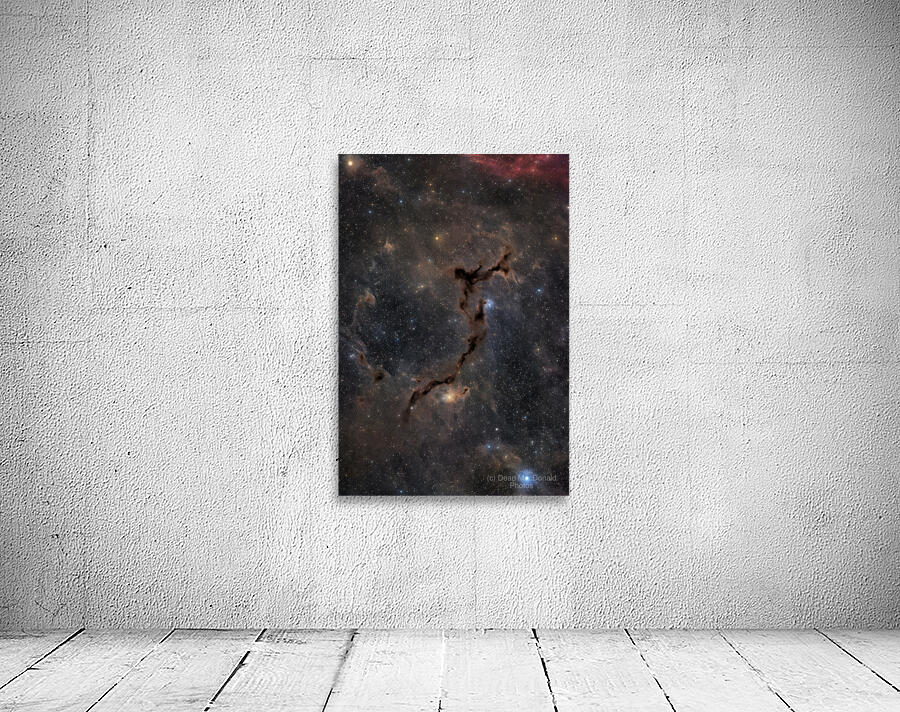 Seahorse Nebula - Barnard 150 Wall Preview