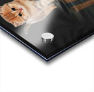 A184BEA8 E5BF 4B39 A4A7 E72BB0B8B902 Acrylic print