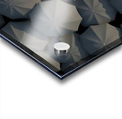 D9C1A2E5 C389 44DF AC00 1A3E89BB7518 Acrylic print