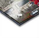 B356D0A8 4FB1 4EF4 AA2E F477C5A218B6 Acrylic print