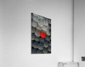 D9C1A2E5 C389 44DF AC00 1A3E89BB7518 Acrylic Print