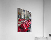 B356D0A8 4FB1 4EF4 AA2E F477C5A218B6 Acrylic Print