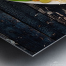 F2BC7967 0827 4072 9BD0 FD164346E92E Metal print