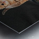 A184BEA8 E5BF 4B39 A4A7 E72BB0B8B902 Metal print