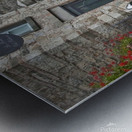 B356D0A8 4FB1 4EF4 AA2E F477C5A218B6 Metal print