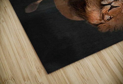 A184BEA8 E5BF 4B39 A4A7 E72BB0B8B902 Leanardo dafinshi puzzle