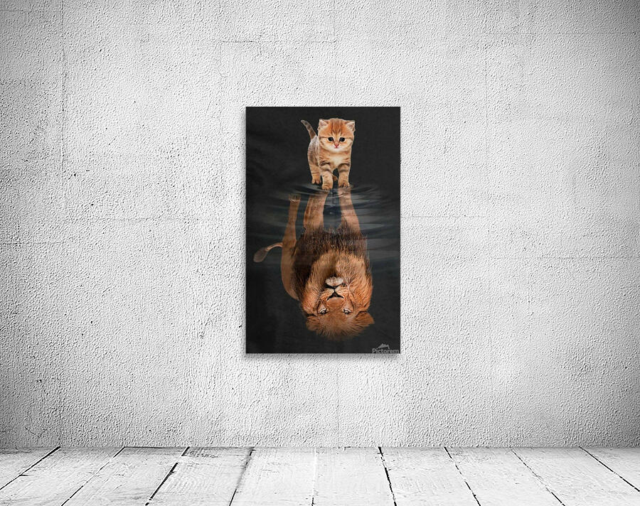 A184BEA8 E5BF 4B39 A4A7 E72BB0B8B902 Wall Preview