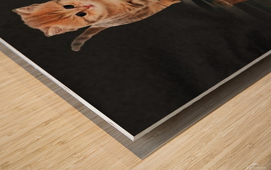 A184BEA8 E5BF 4B39 A4A7 E72BB0B8B902 Wood print