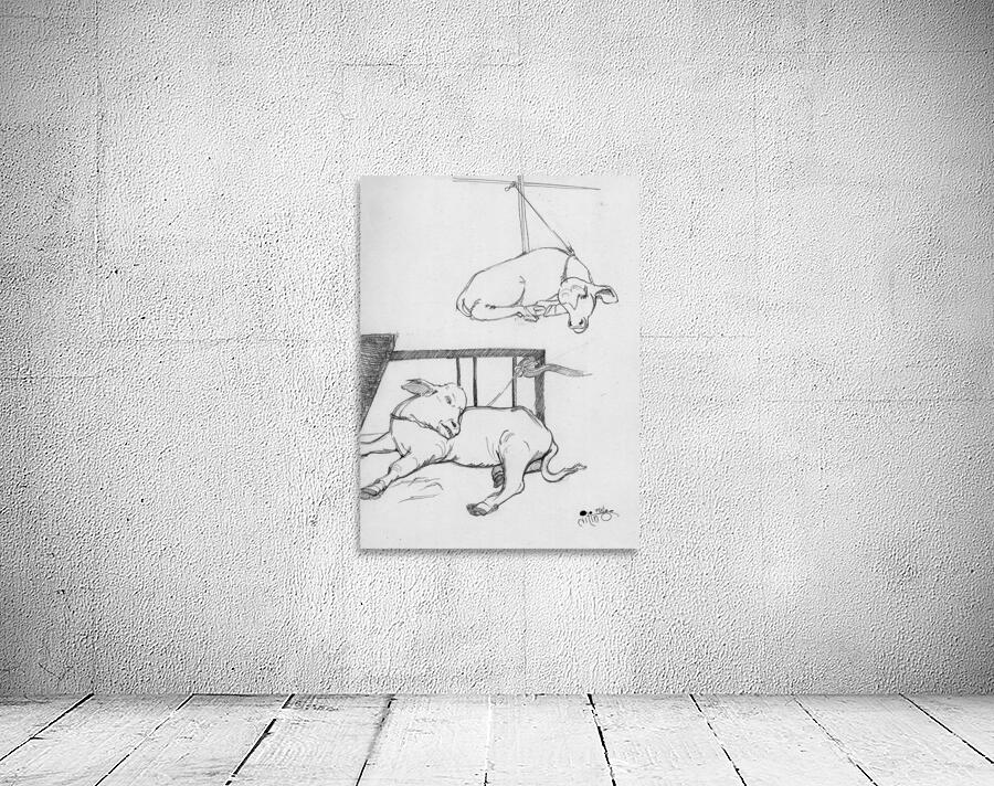Sleeping Calf Wall Preview