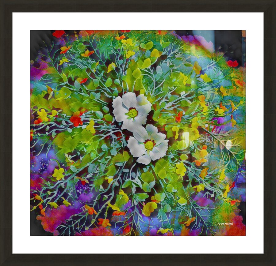 cosmic burst Picture Frame Printing