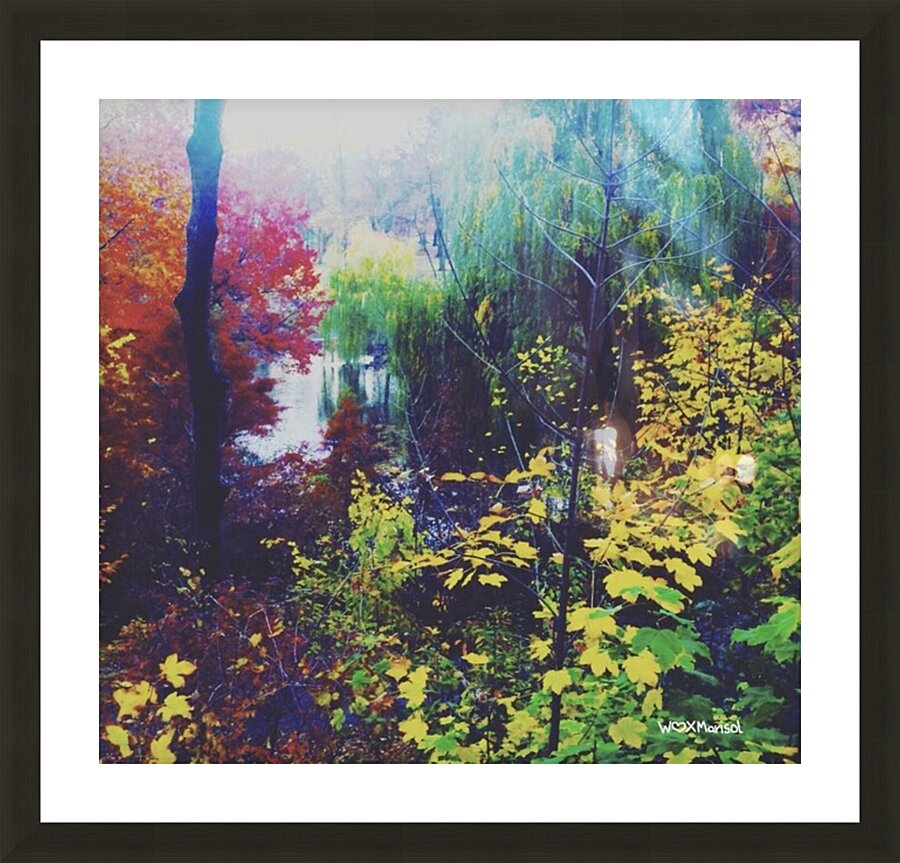 Rainbow Garden Picture Frame Printing