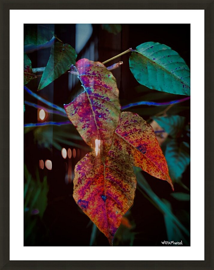Electricileaves Picture Frame Printing