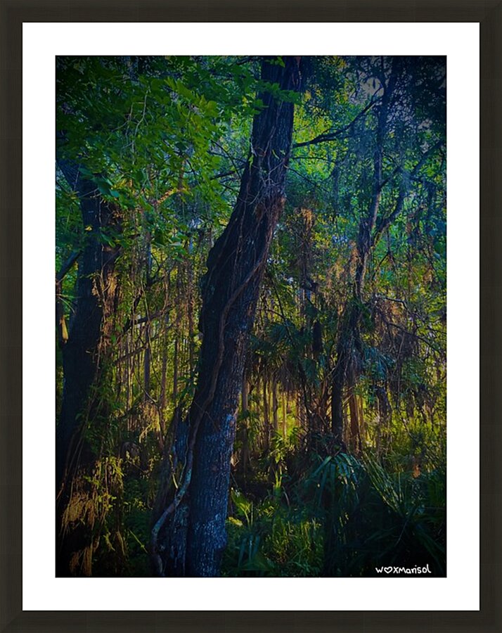 Forest Sweet Forest Picture Frame Printing