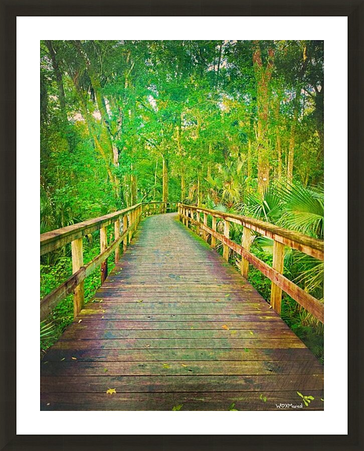 Rainbow Bridge Picture Frame Printing
