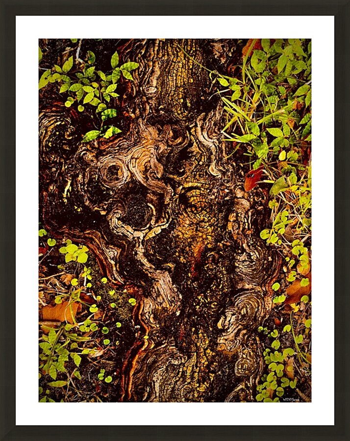 Rooted Picture Frame Printing