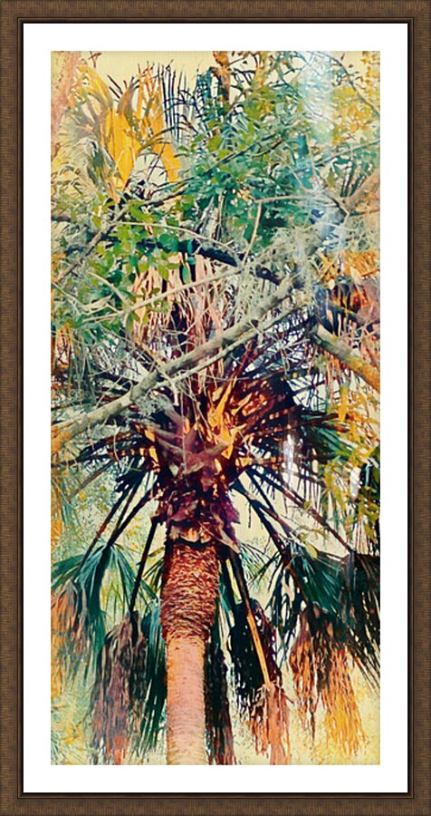 Sunset Palm Picture Frame Printing