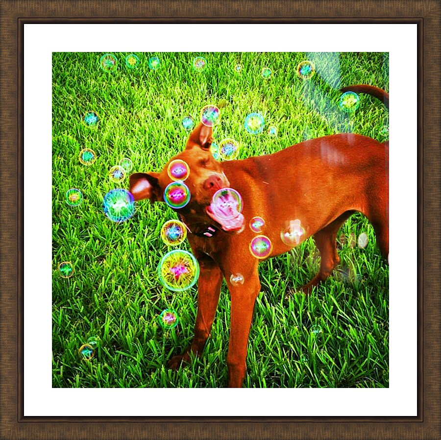 Bubble Yums Picture Frame Printing