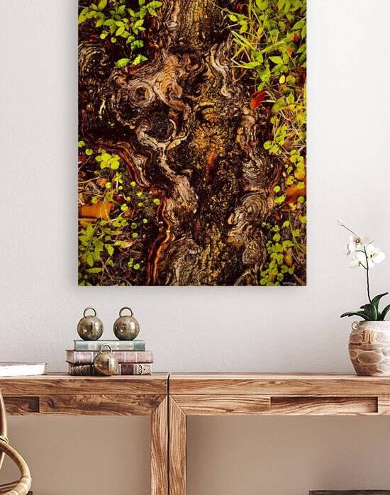 Rooted by With Love by Marisol