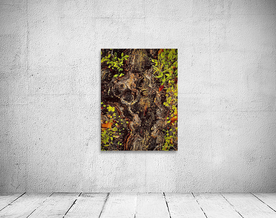Rooted Wall Preview