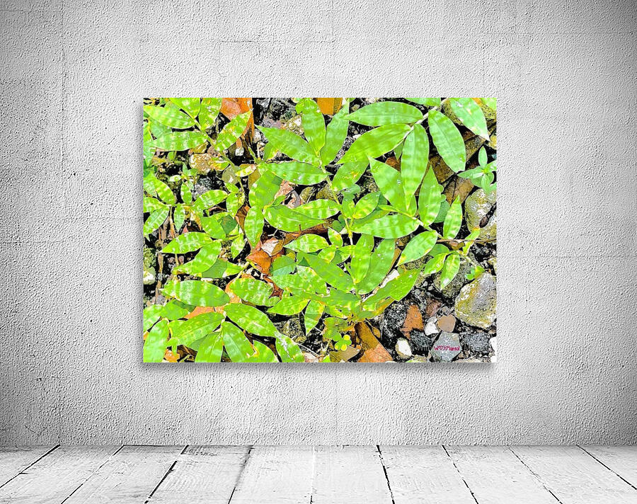Verdurous Wall Preview