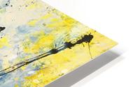 SAISONS HD Metal print