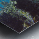 scuba diving Metal print