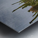 jardin de cactus Metal print