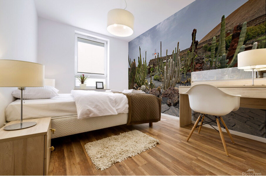 jardin de cactus Mural print