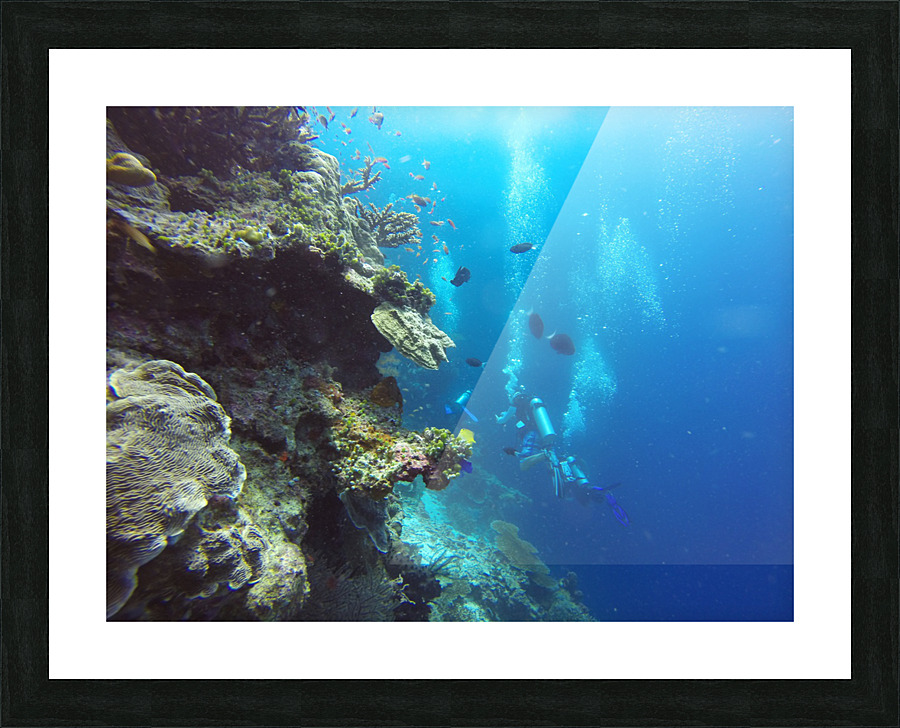 scuba diving Picture Frame print