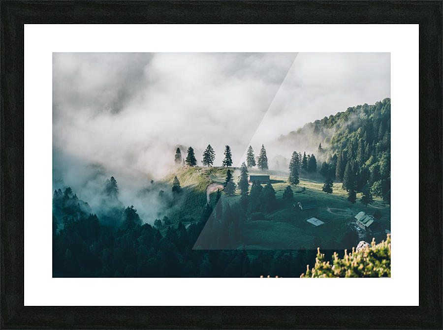 nature 003 Picture Frame print