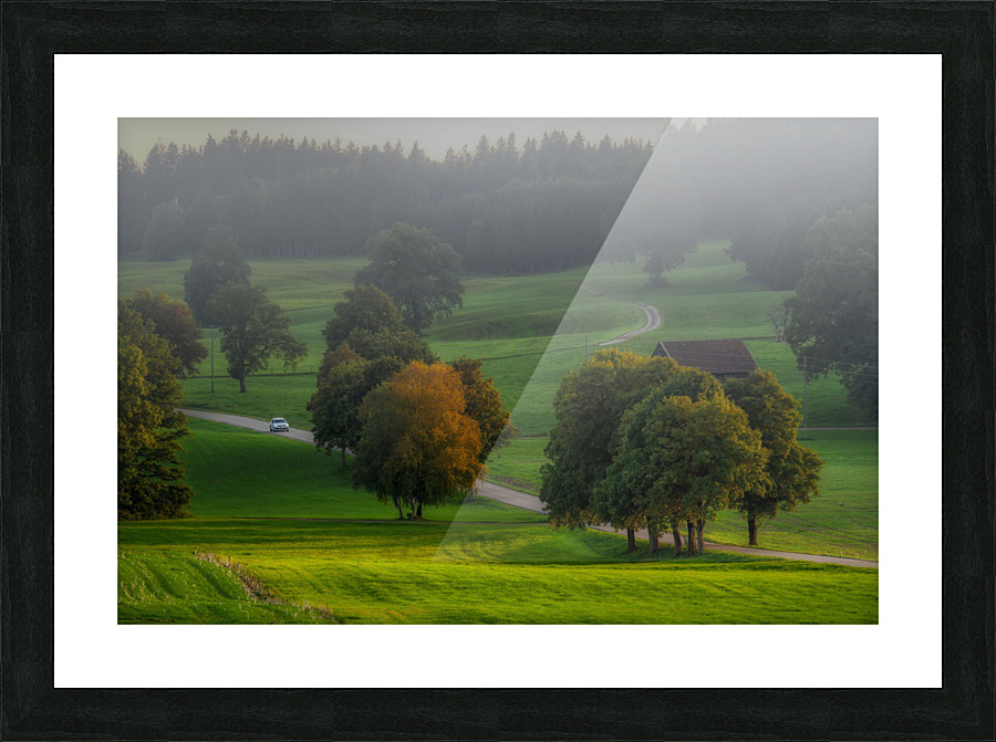 nature 002 Picture Frame print