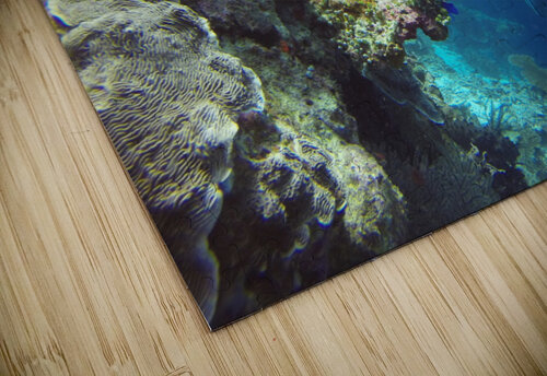 scuba diving Aluna s puzzle