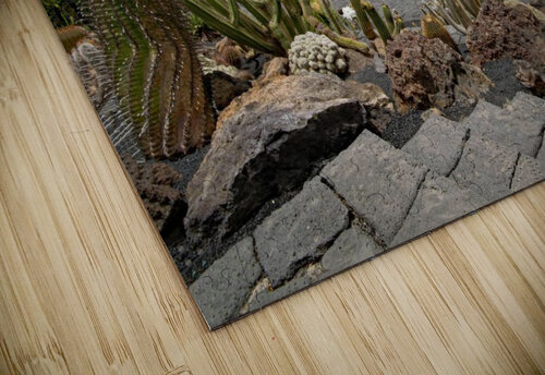 jardin de cactus Aluna s puzzle