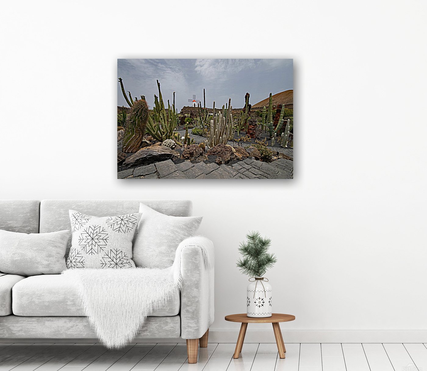 jardin de cactus Reproduction