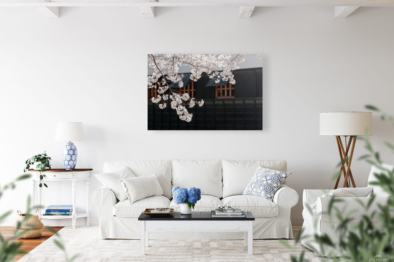 Cherry blossoms 1 Reproduction