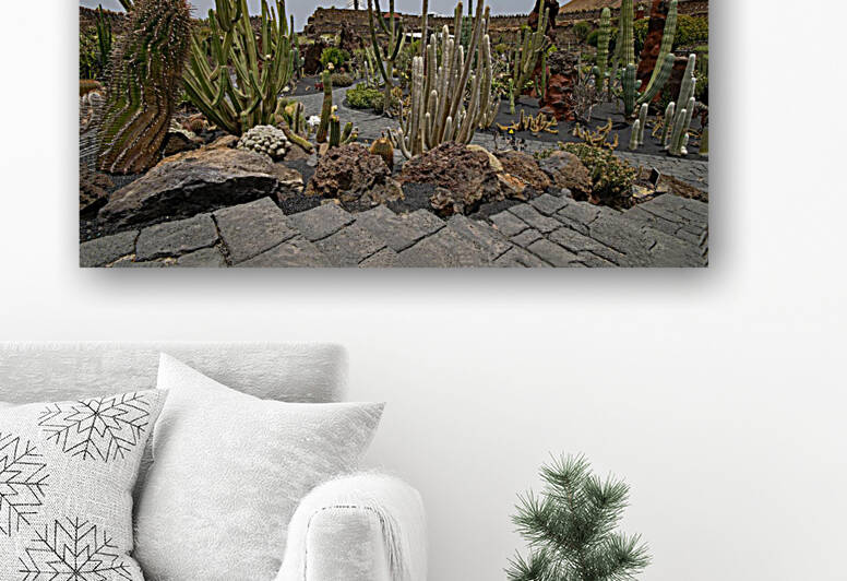 jardin de cactus Reproduction