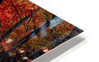 road HD Metal print