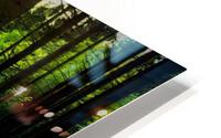 trees HD Metal print