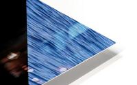 dolphin HD Metal print