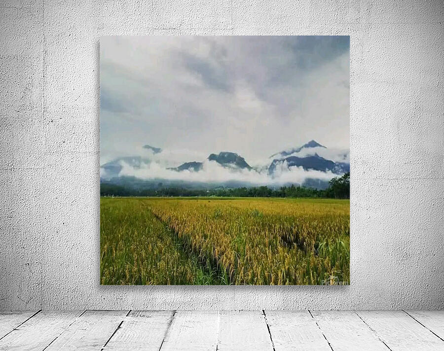 rice fields and mountains Wall Preview