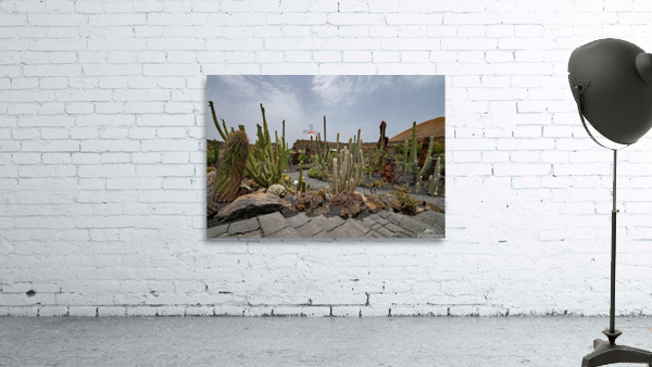 jardin de cactus Wall Preview