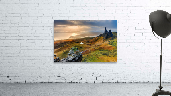 wallpaper natural Wall Preview