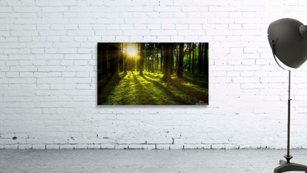 trees Wall Preview