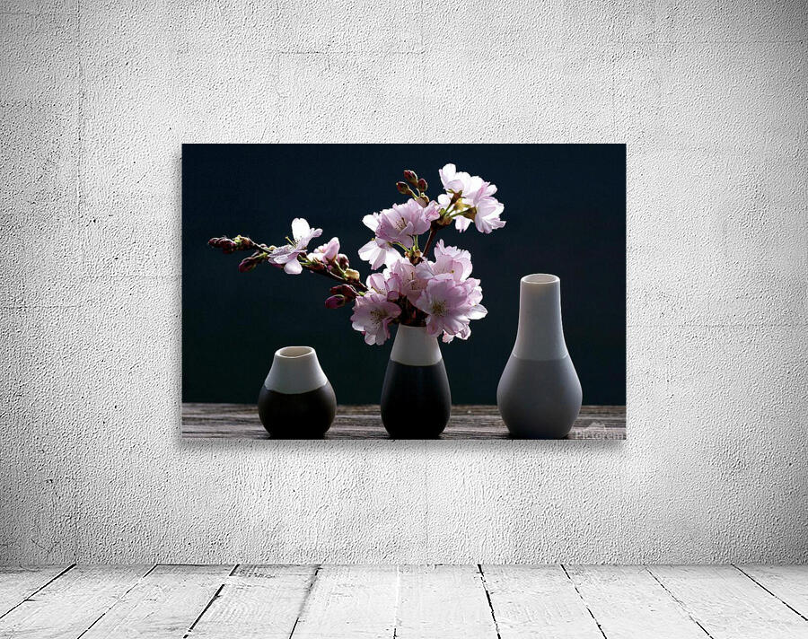 cherry blossoms 2 Wall Preview