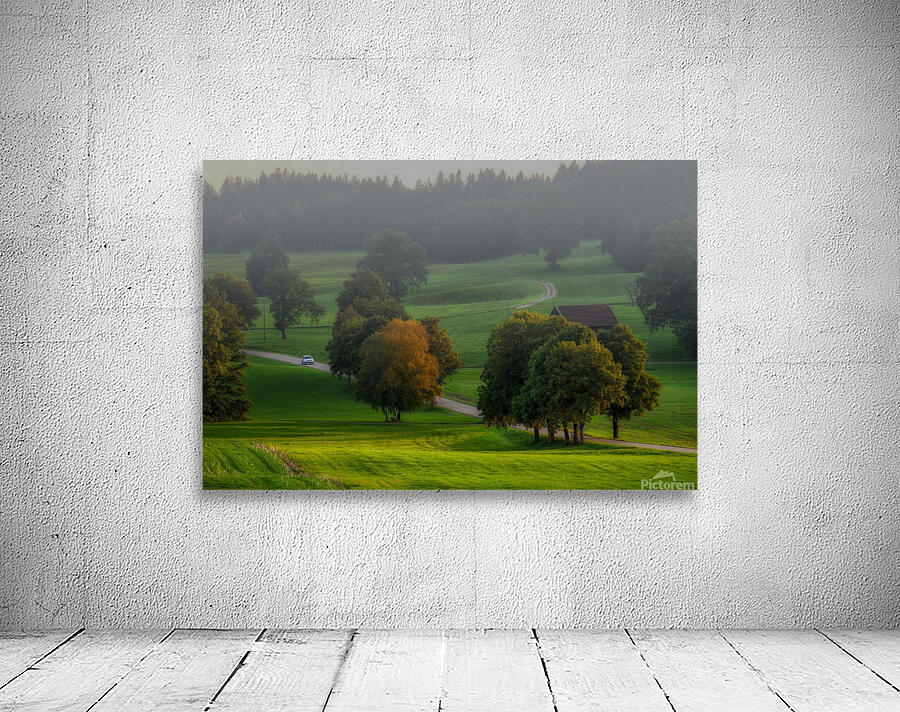 nature 002 Wall Preview