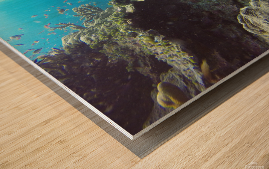 scuba diving Wood print